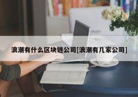 浪潮有什么区块链公司[浪潮有几家公司]