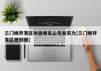 三门峡开发区块链哪家公司有实力[三门峡开发区规划图]