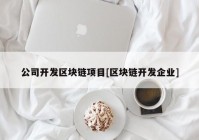 公司开发区块链项目[区块链开发企业]